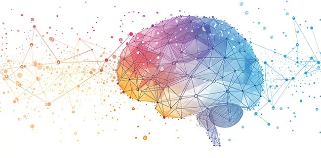 The Brain